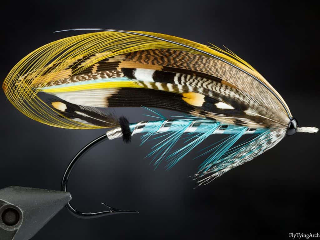 Main photo for Nice Photo