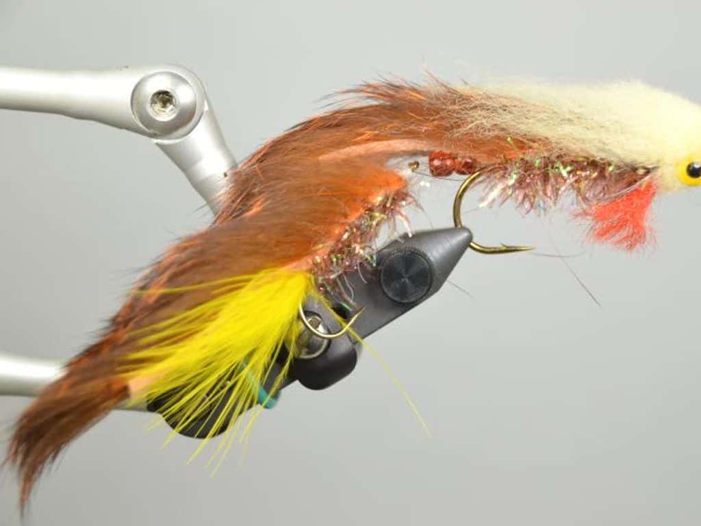 Main photo for A TESTer