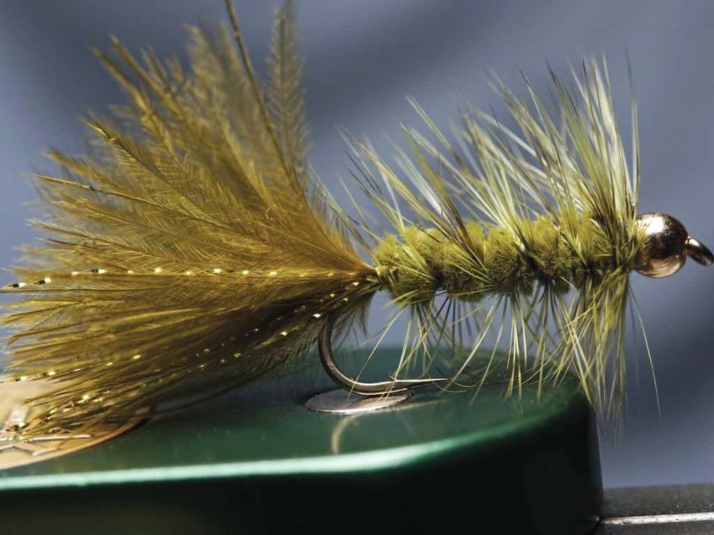 Main photo for New materialsssss