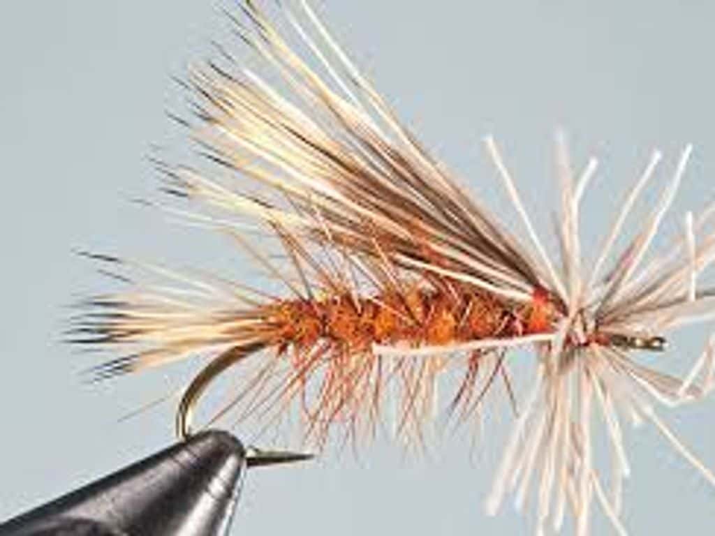 Main photo for One More