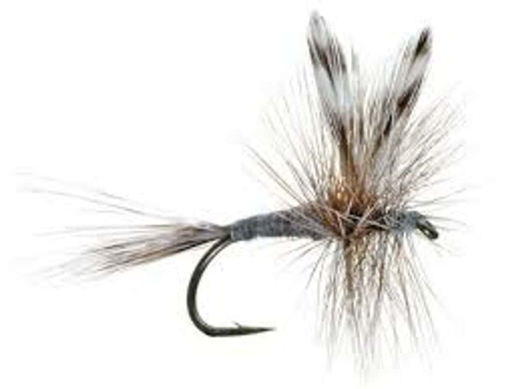 Main photo for Saltwater pattern