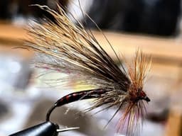 OC Partridge, size 8 - 2