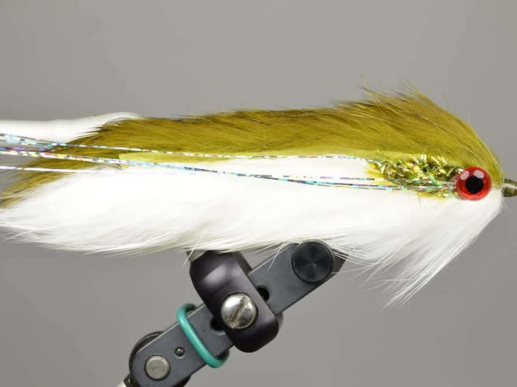 Main photo for Double Bunny