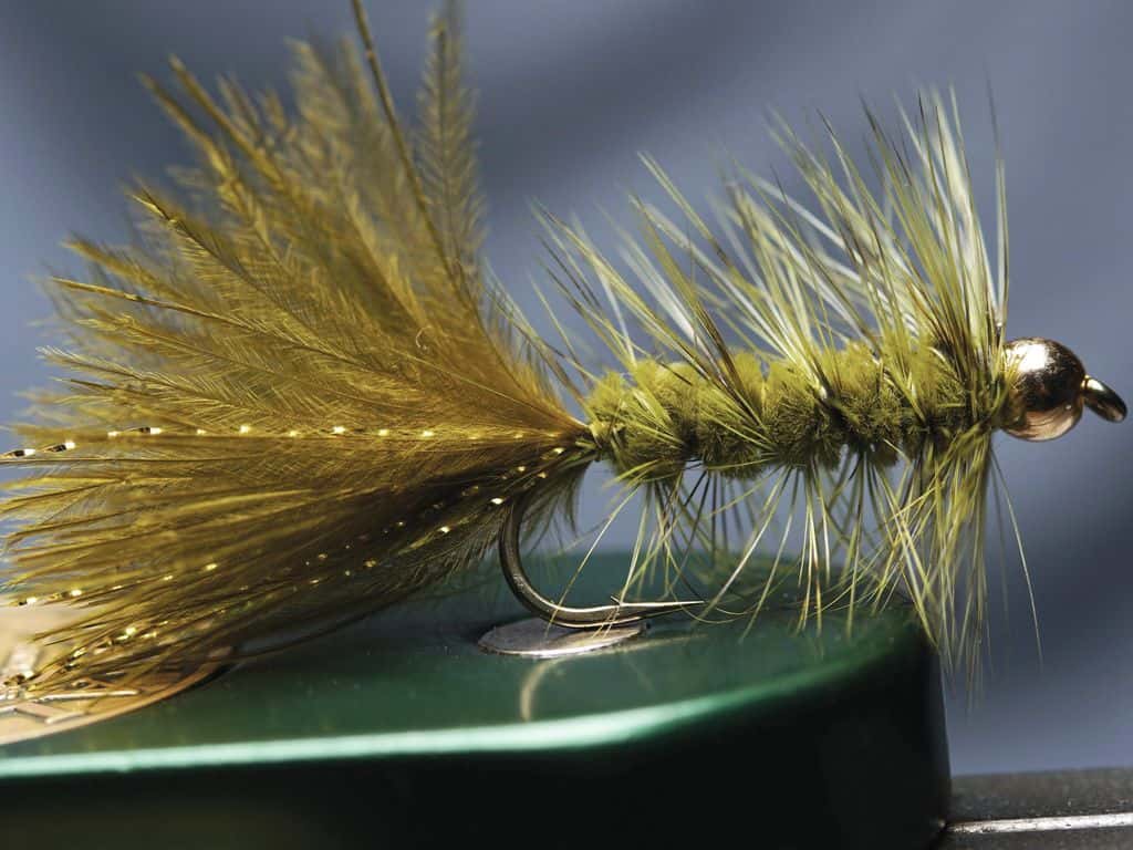 Main photo for Wooly Bugger